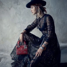 Brandarex — Plateforme SaaS